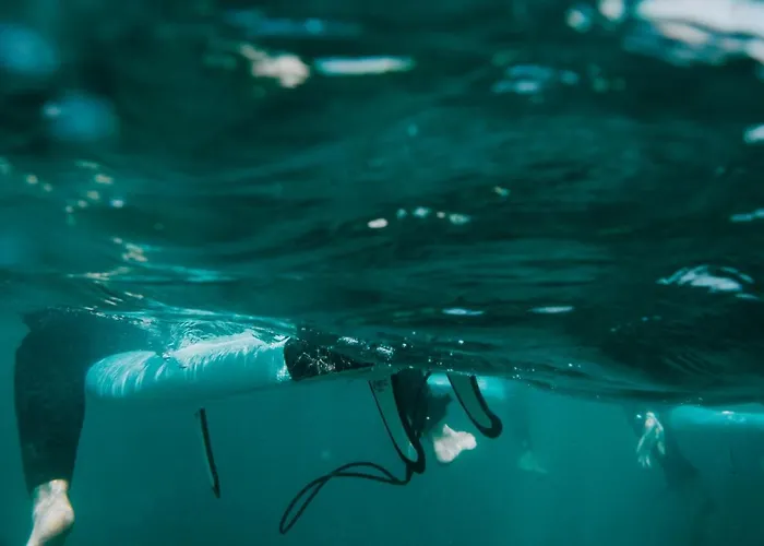 Vandrarhem Surf Gijón